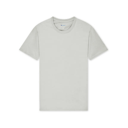 Champion T425 Adult Cotton Jersey T-Shirt in Ash, front view.