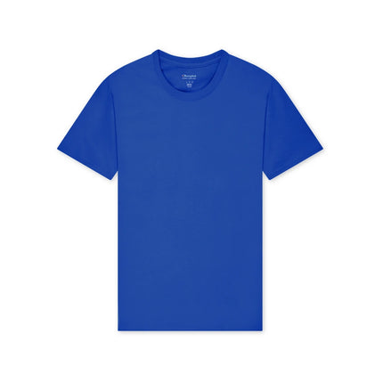 Champion T425 Adult Cotton Jersey T-Shirt in Athletic Royal, front view.