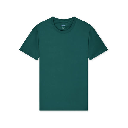 Champion T425 Adult Cotton Jersey T-Shirt in Emerald Green, front view.