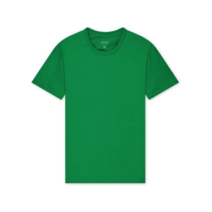 Champion T425 Adult Cotton Jersey T-Shirt in Kelly Green, front view.