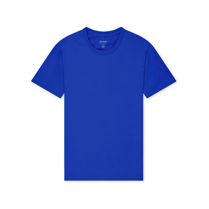 Champion T425 Adult Cotton Jersey T-Shirt in Royal Blue, front view.