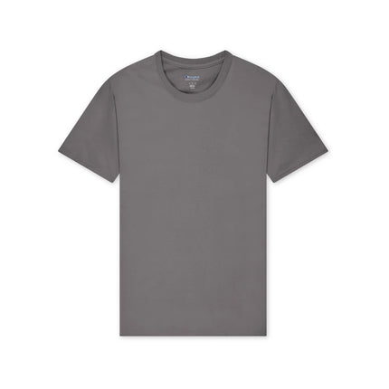 Champion T425 Adult Cotton Jersey T-Shirt in Stone Grey, front view.